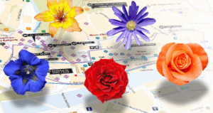 Decoració floral a Girona durant el festival Temps de Flors 2025, al centre històric