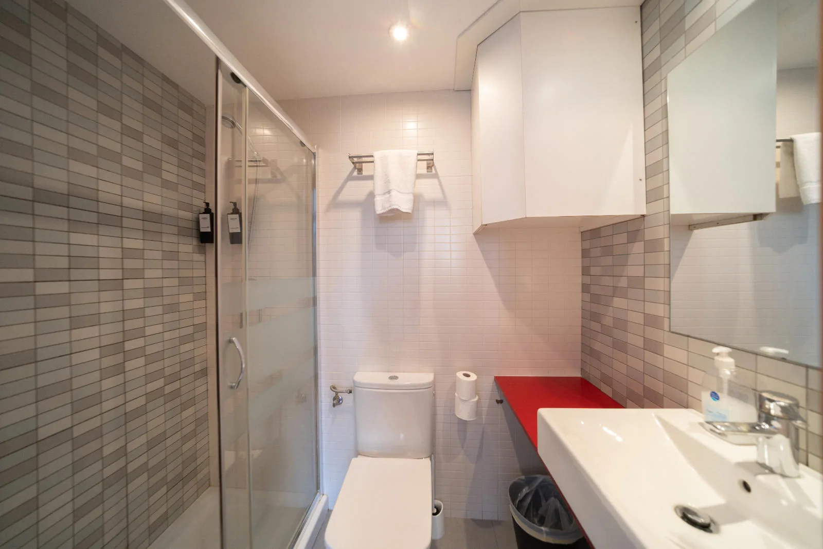 Bany amb dutxa de l'Apartament B